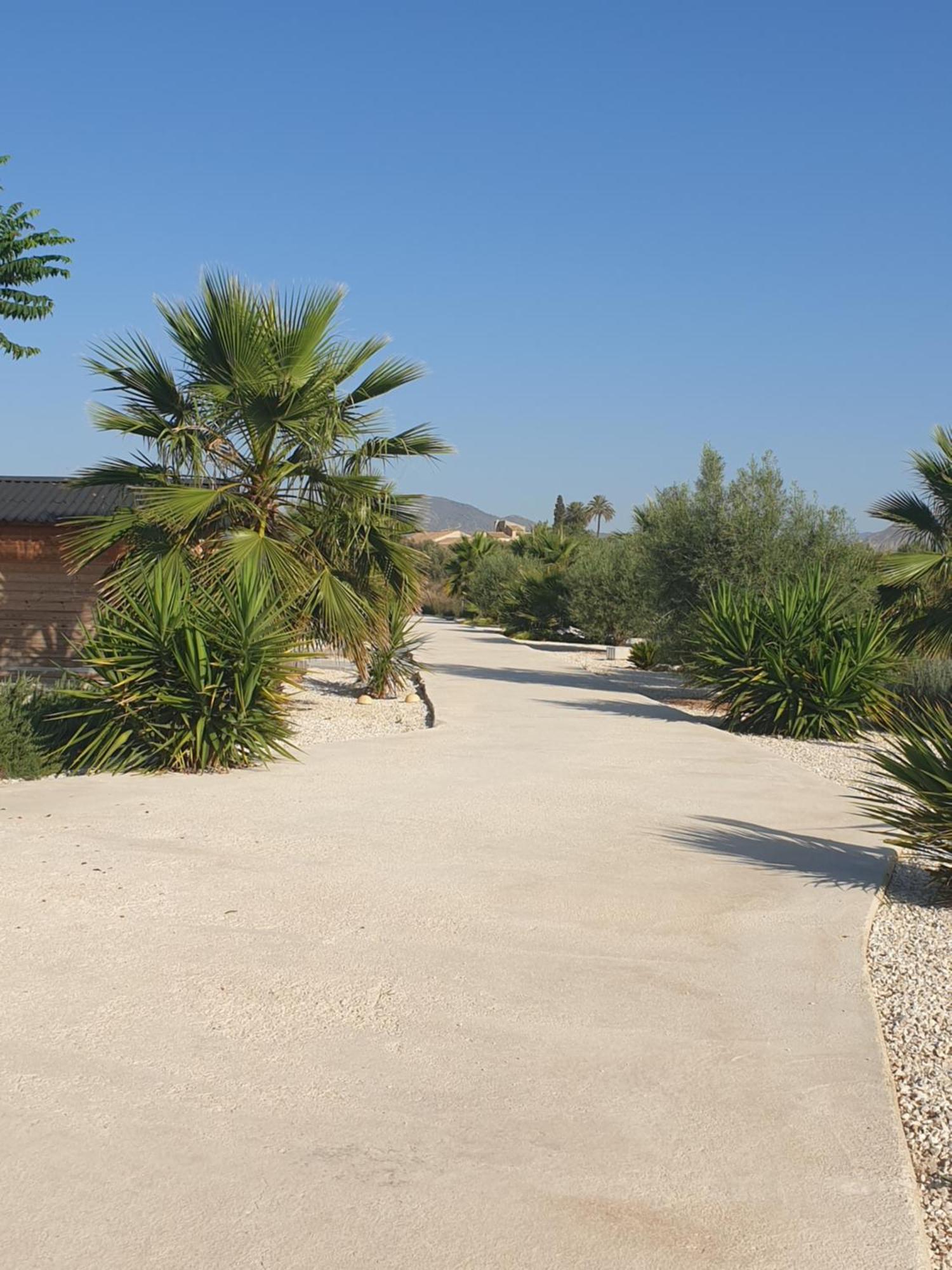 Casa De La Vida Liebetruth A Villa Aspe ภายนอก รูปภาพ