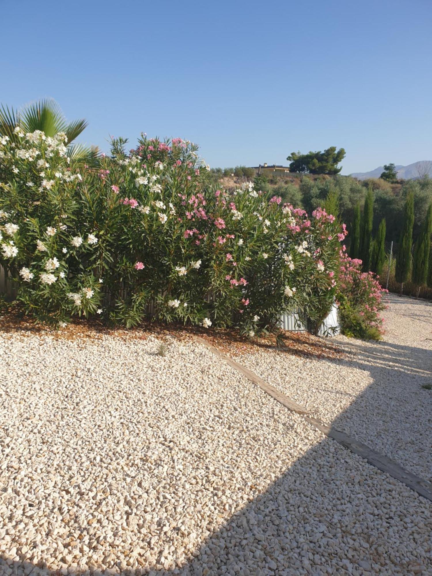 Casa De La Vida Liebetruth A Villa Aspe ภายนอก รูปภาพ